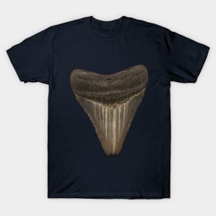 Shark Tooth2 T-Shirt